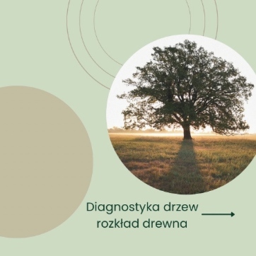 diagnostyka drzew kurs szkoły dendrologii